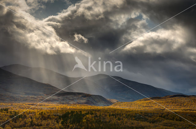 Rondane National Park