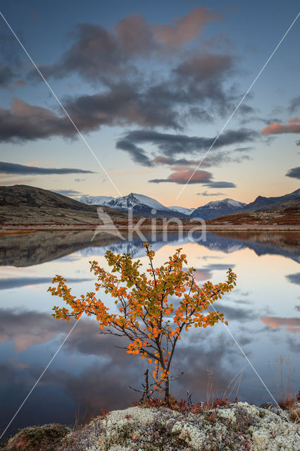 Rondane National Park