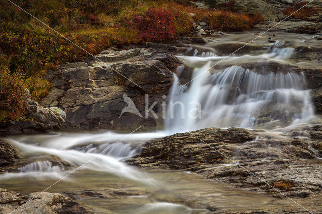 Rondane