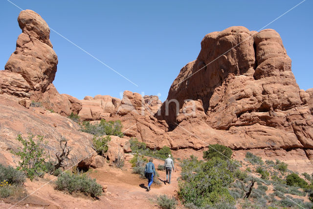 Arches National Park