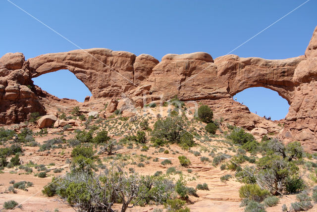 Arches National Park