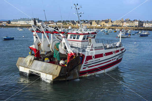 Barfleur