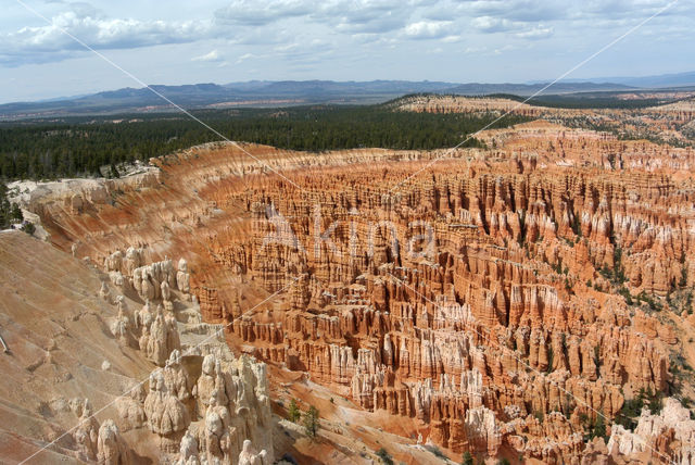 Bryce Canyon National park