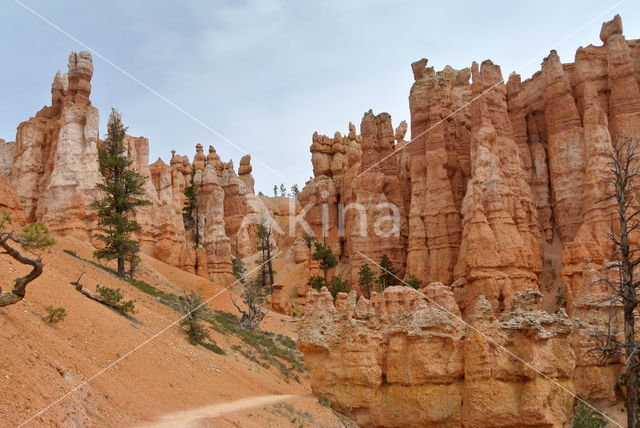 Bryce Canyon National park