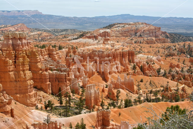 Bryce Canyon National park