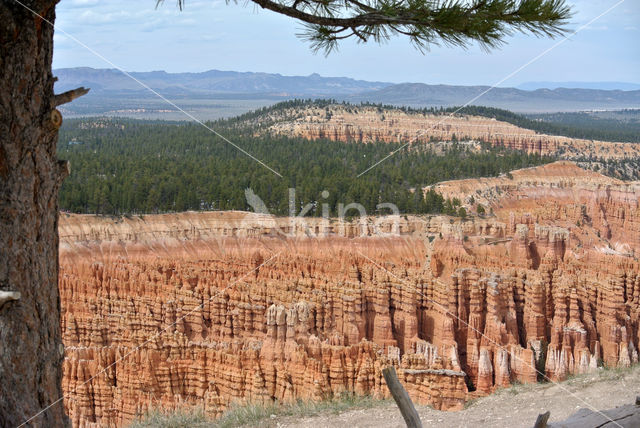 Bryce Canyon National park