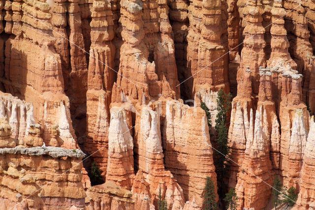 Bryce Canyon National park