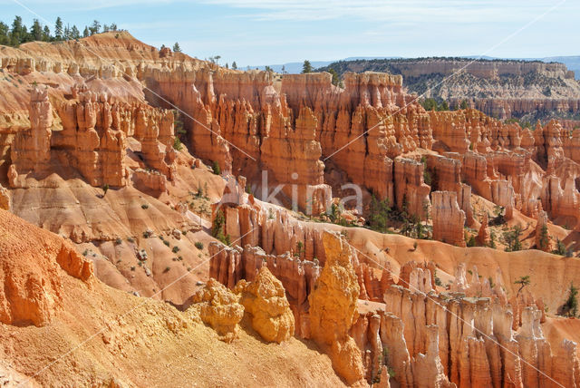 Bryce Canyon National park