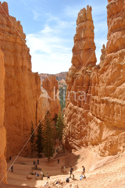 Bryce Canyon National park