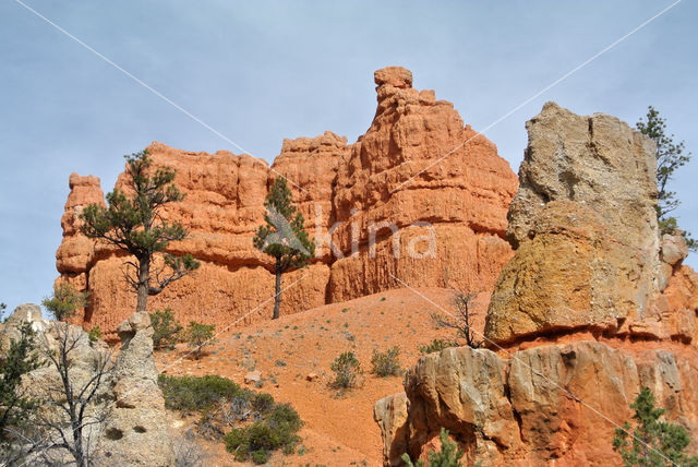 Capitol Reef National Park