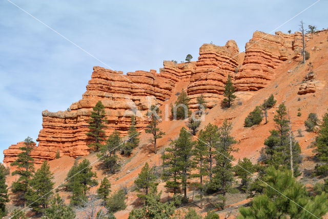 Capitol Reef National Park