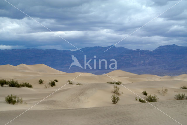 Death valley National Park