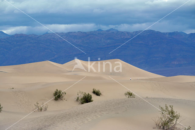 Death valley National Park