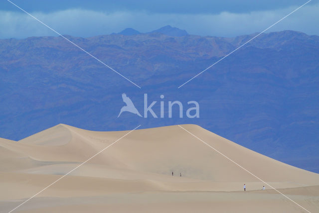 Death valley National Park