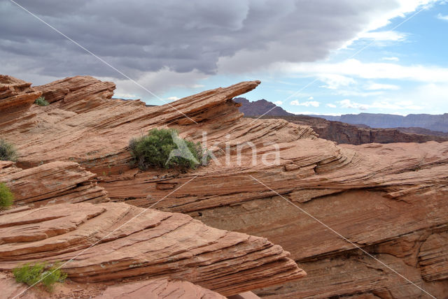 Horseshoe Bend