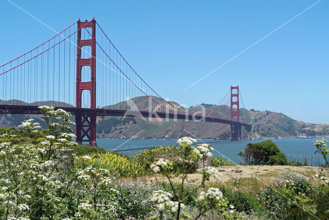 Golden Gate Bridge