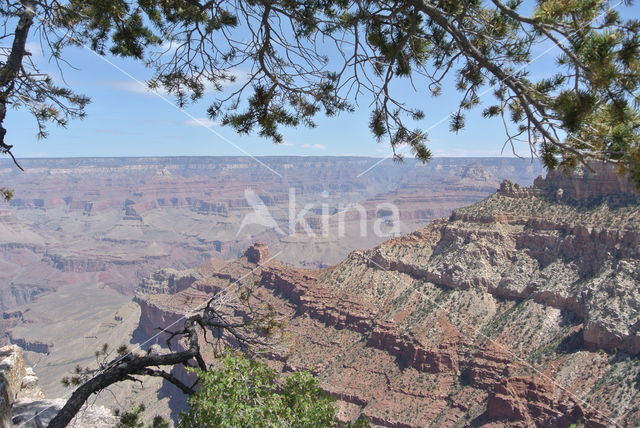 Grand Canyon National Park