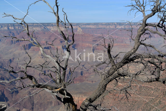 Grand Canyon National Park