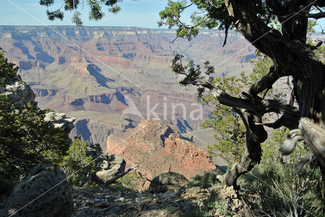 Grand Canyon National Park