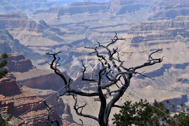 Grand Canyon National Park