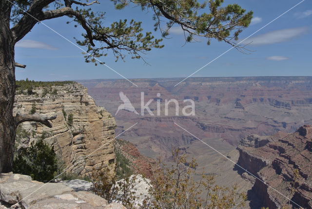 Grand Canyon National Park