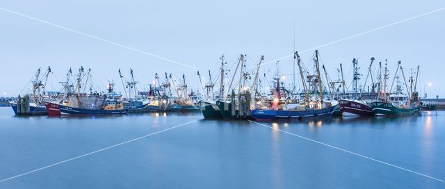 Port of Lauwersoog