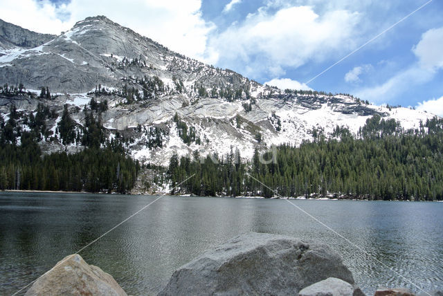 Kings Canyon National Park