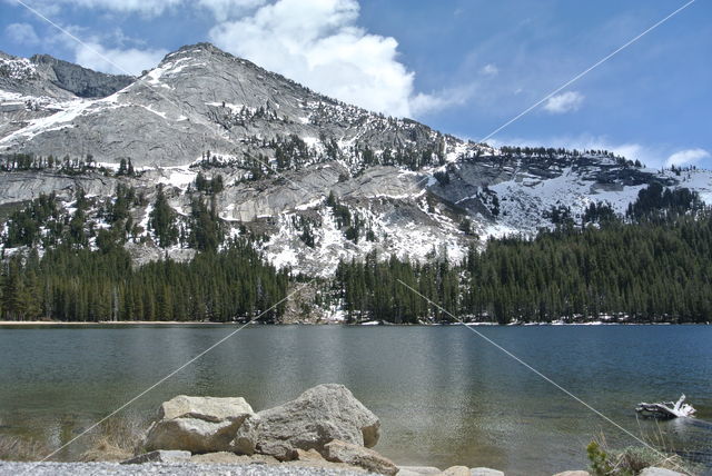 Kings Canyon National Park