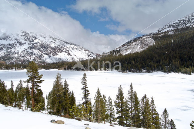 Kings Canyon National Park