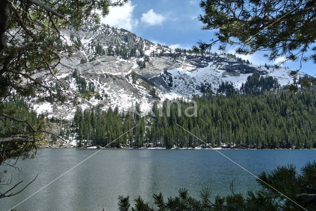 Kings Canyon National Park