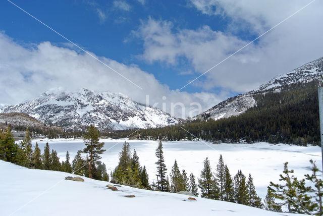 Kings Canyon National Park