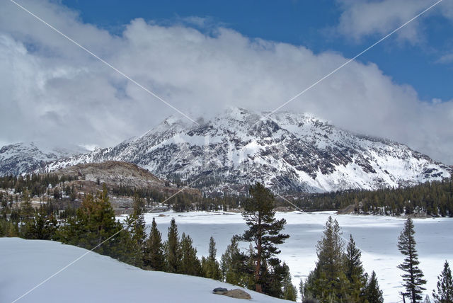 Kings Canyon National Park