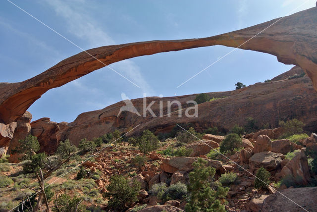 Landscape arch