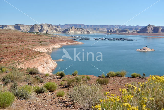 Lake Powell