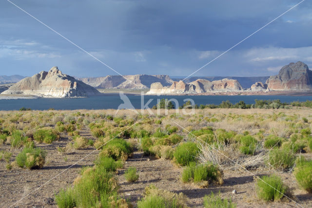 Lake Powell