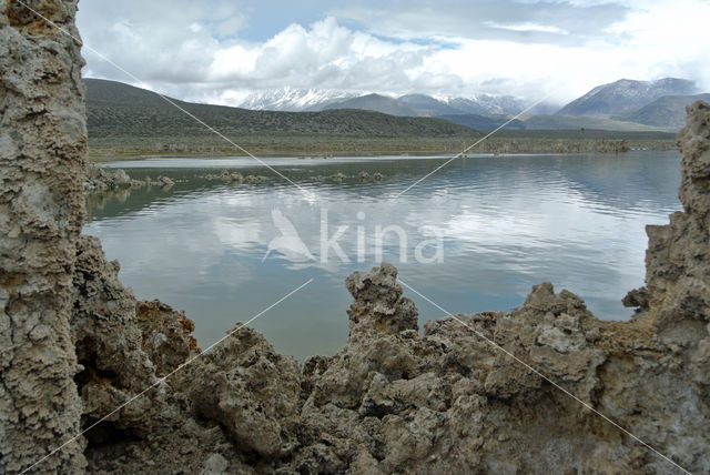 Mono Lake