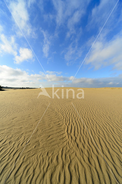 National Park De Hoge Veluwe