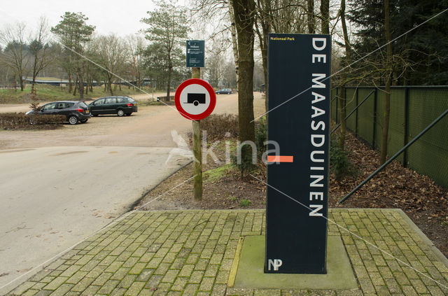 Nationaal Park De Maasduinen