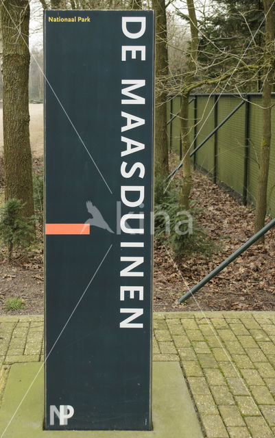 Nationaal Park De Maasduinen