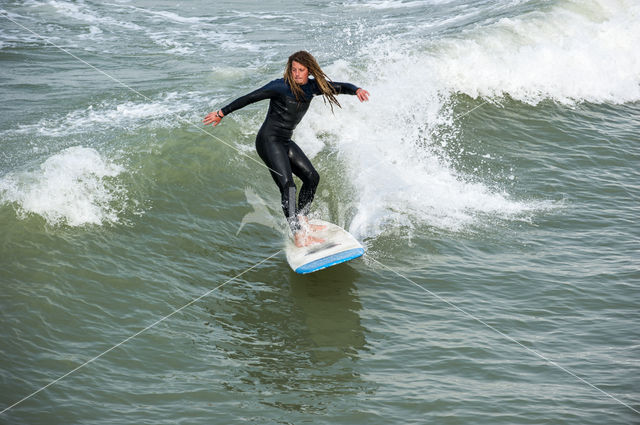 Noordzee