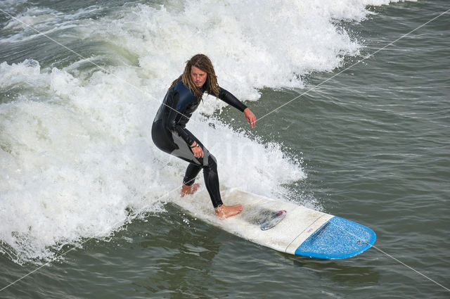 Noordzee