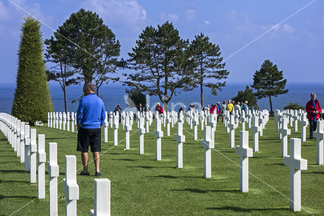 Normandy American Cemetery and Memorial