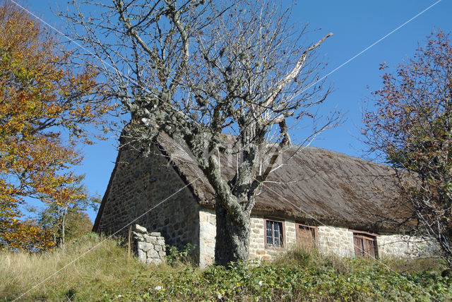 Parc naturel régional du Livradois Forez