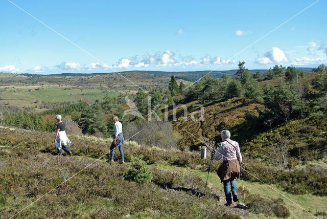 Parc naturel régional du Livradois Forez