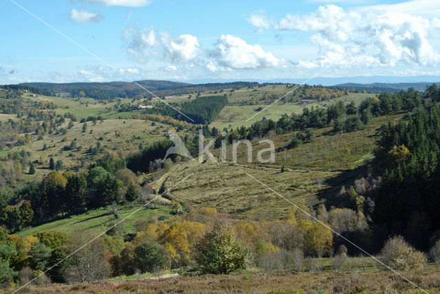 Parc naturel régional du Livradois Forez