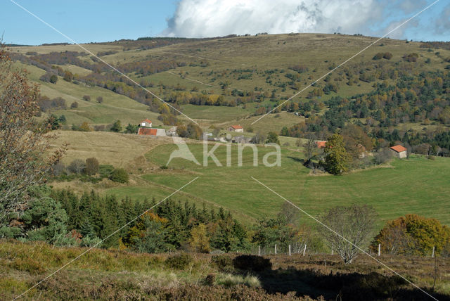 Parc naturel régional du Livradois Forez