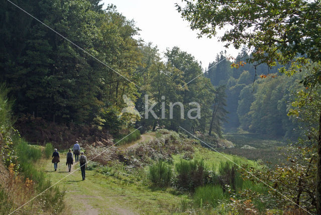 Parc naturel régional du Livradois Forez