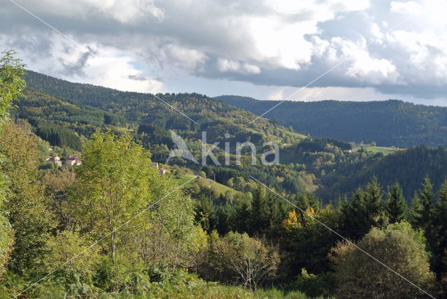 Parc naturel régional du Livradois Forez