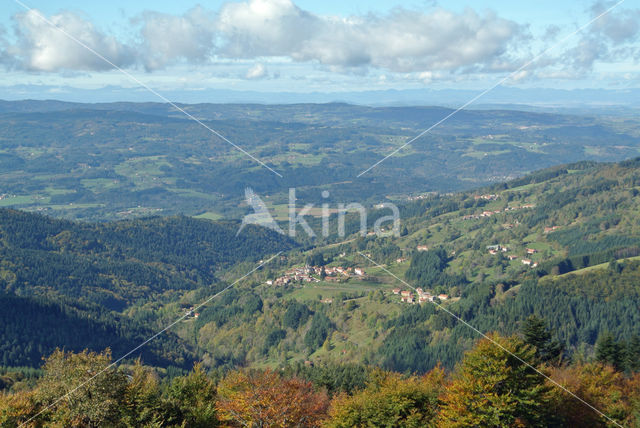 Parc naturel régional du Livradois Forez