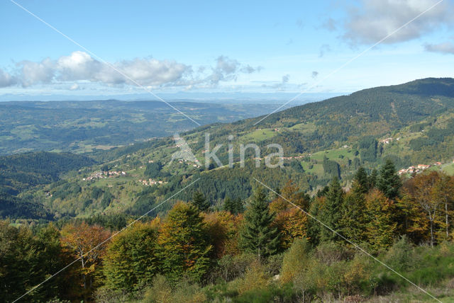 Parc naturel régional du Livradois Forez